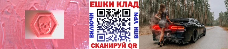 ЭКСТАЗИ Philipp Plein  Купить  Верхняя Тура 