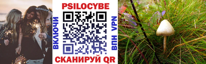 Купить закладки  Верхняя Тура  Галлюциногенные грибы Psilocybe 